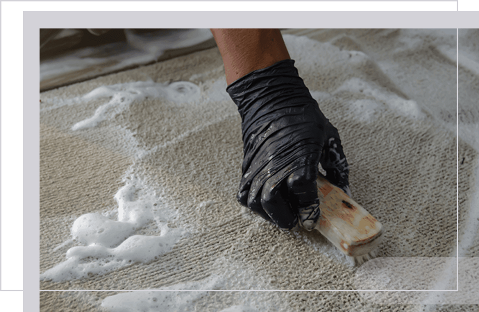 Remove Dirt, Spots & Odor from Carpets in Dallas-Fort Worth