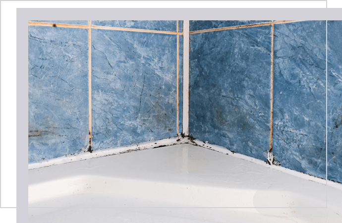 Moldy Grout Cleaning in Dallas-Fort Worth