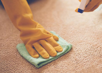 Carpet Odor Removal Services in Dallas, TX
