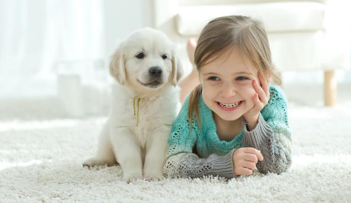 A girl lying on a clean white carpet beside a white puppy with a yellow ribbon, emphasizing safe home environment