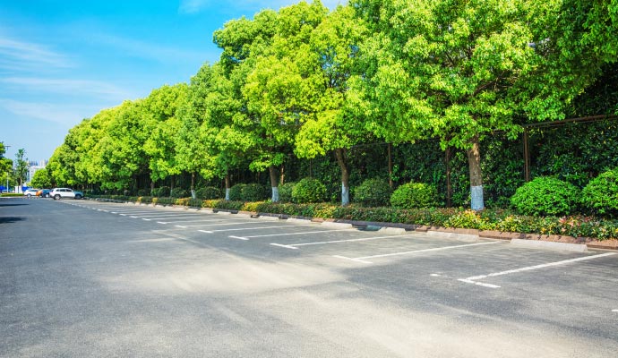 Neatly maintained commercial parking lot with clearly marked spaces, manicured trees, and surrounding shrubs and highlighting effective outdoor maintenance and property care