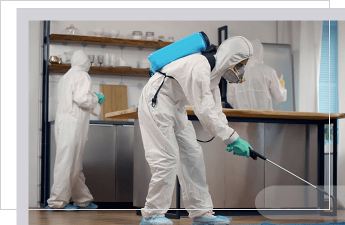 Disinfection Service