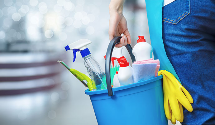 Expert carrying cleaning products
