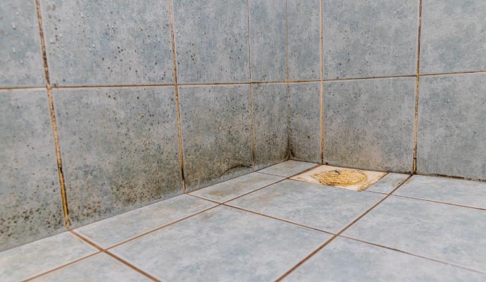 Corner of a tiled bathroom with visible mold buildup on grout lines between light blue tiles