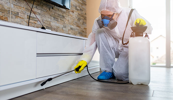 Disinfection service technician spraying solution