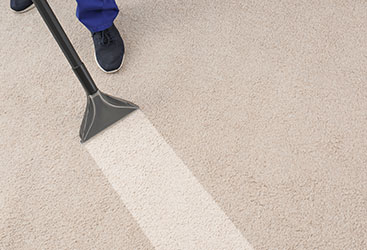 Worker extracting water from a carpet.