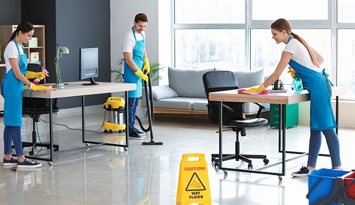 Professional Cleaning