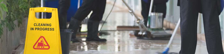 Cleaning Services in Frisco, TX