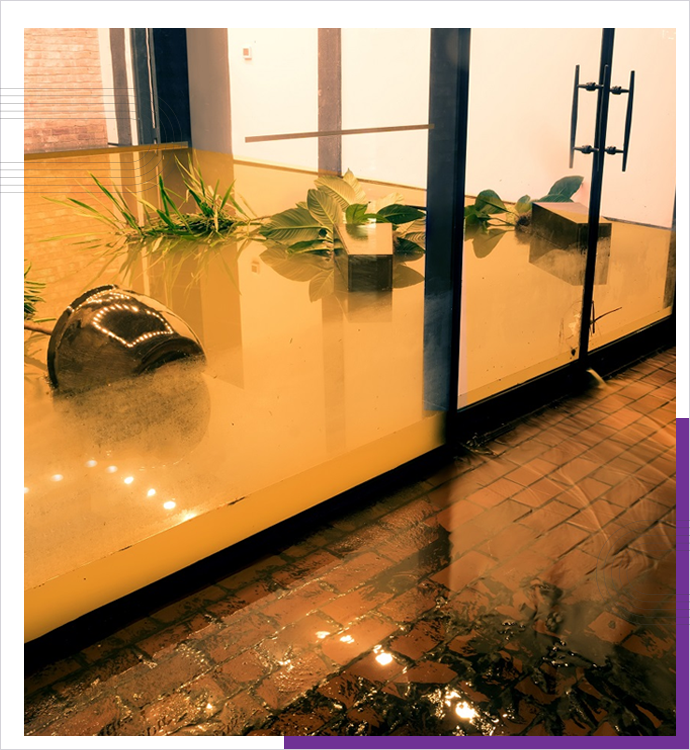 Water Damage Restoration Service